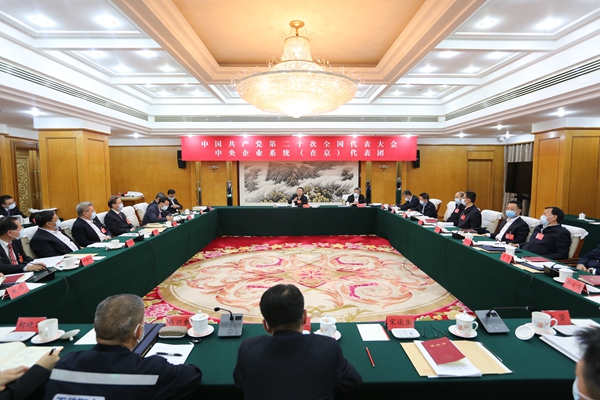 中央企业系统（在京）代表团当真会商中央纪委工作汇报、党章建改案