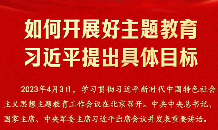 若何发展好主题教育 习近平提出具体指标