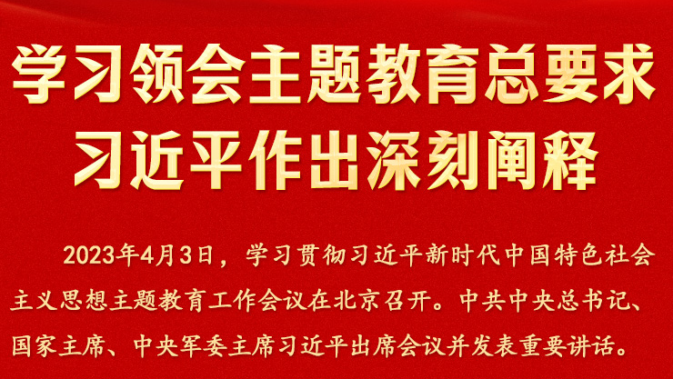进建领会主题教育总要求 习近平作出深刻阐释