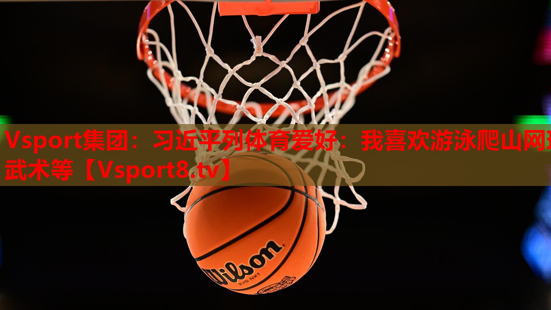 <strong>Vsport集团：习近平列体育爱好：我喜欢游泳爬山网球武术等</strong>