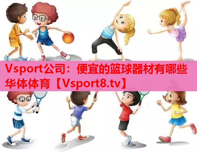 Vsport公司：便宜的篮球器材有哪些华体体育