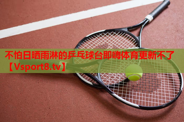不怕日晒雨淋的乒乓球台即嗨体育更新不了
