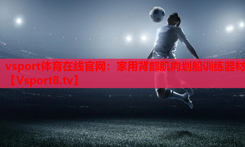 vsport体育在线官网：家用背部肌肉划船训练器材