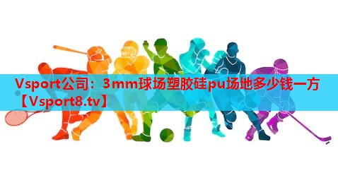 Vsport公司：3mm球场塑胶硅pu场地多少钱一方