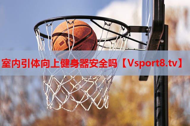 室内引体向上健身器安全吗