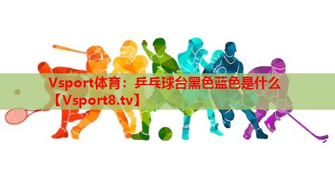 乒乓球台黑色蓝色是什么